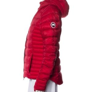 Canada goose with hood
